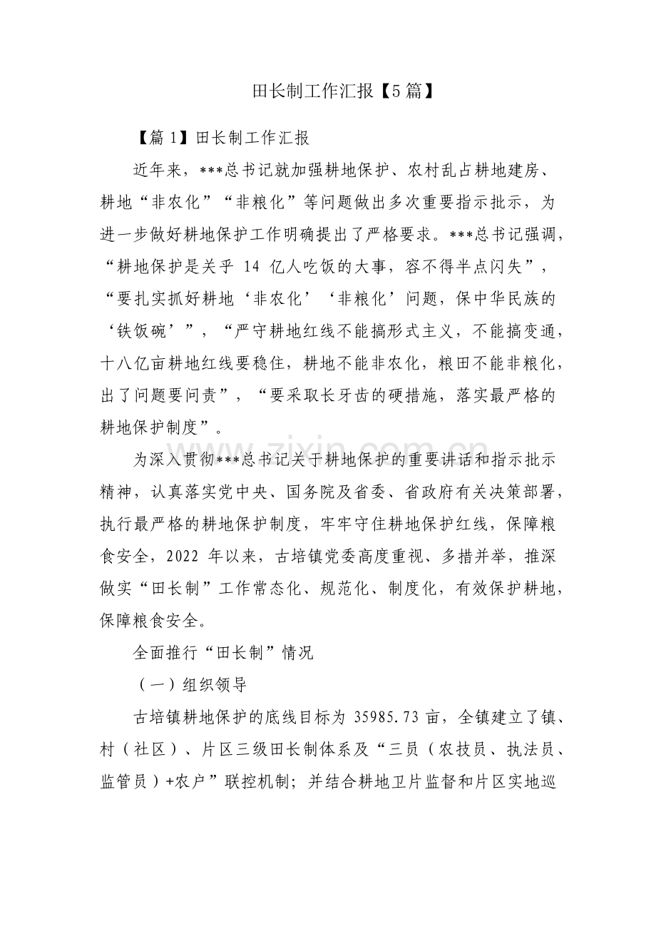 田长制工作汇报【5篇】.pdf_第1页