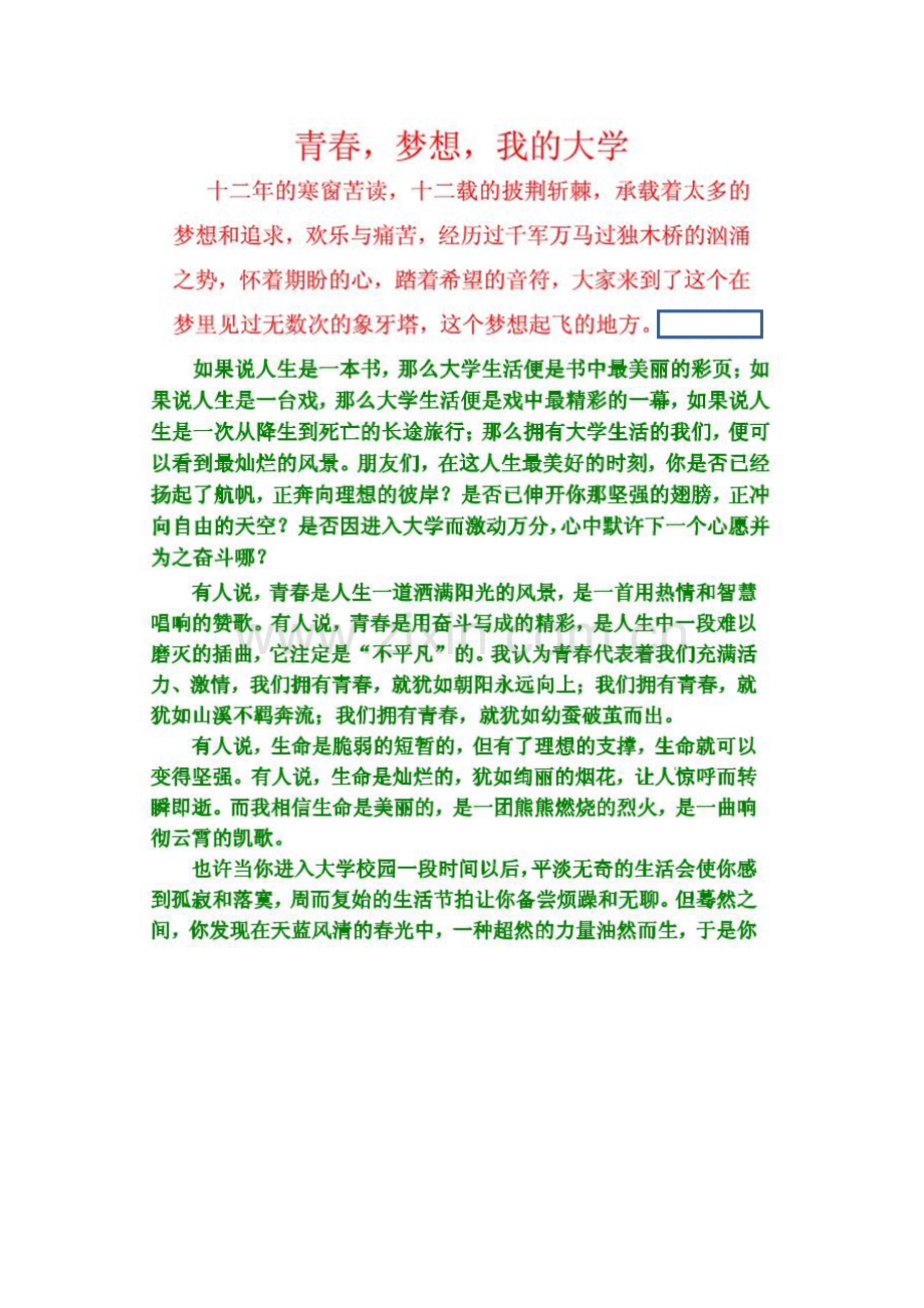 激扬青春_放飞梦想演讲稿.docx_第1页