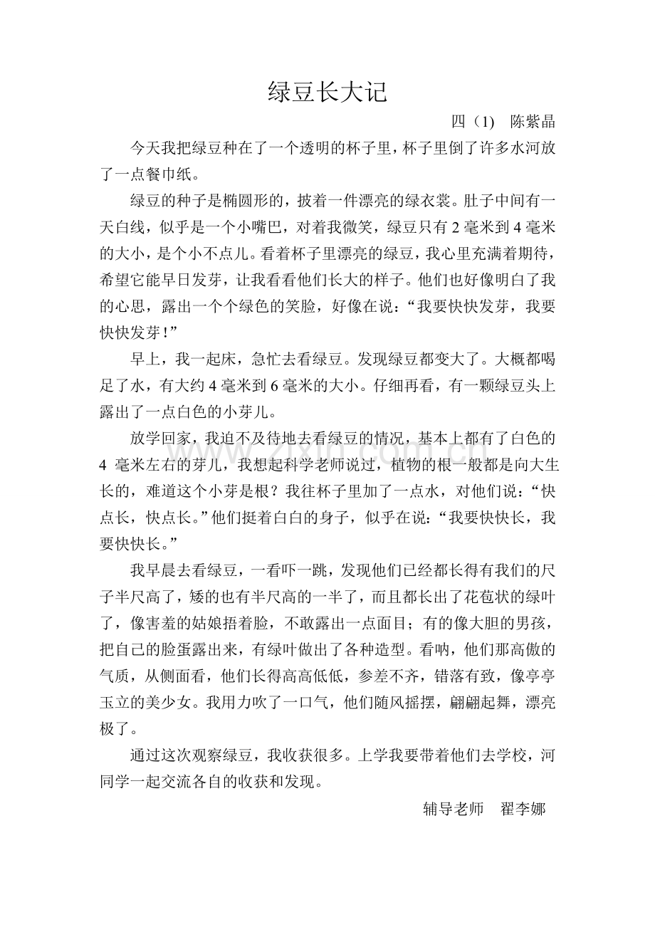 假如我是一只小鸟.doc_第2页