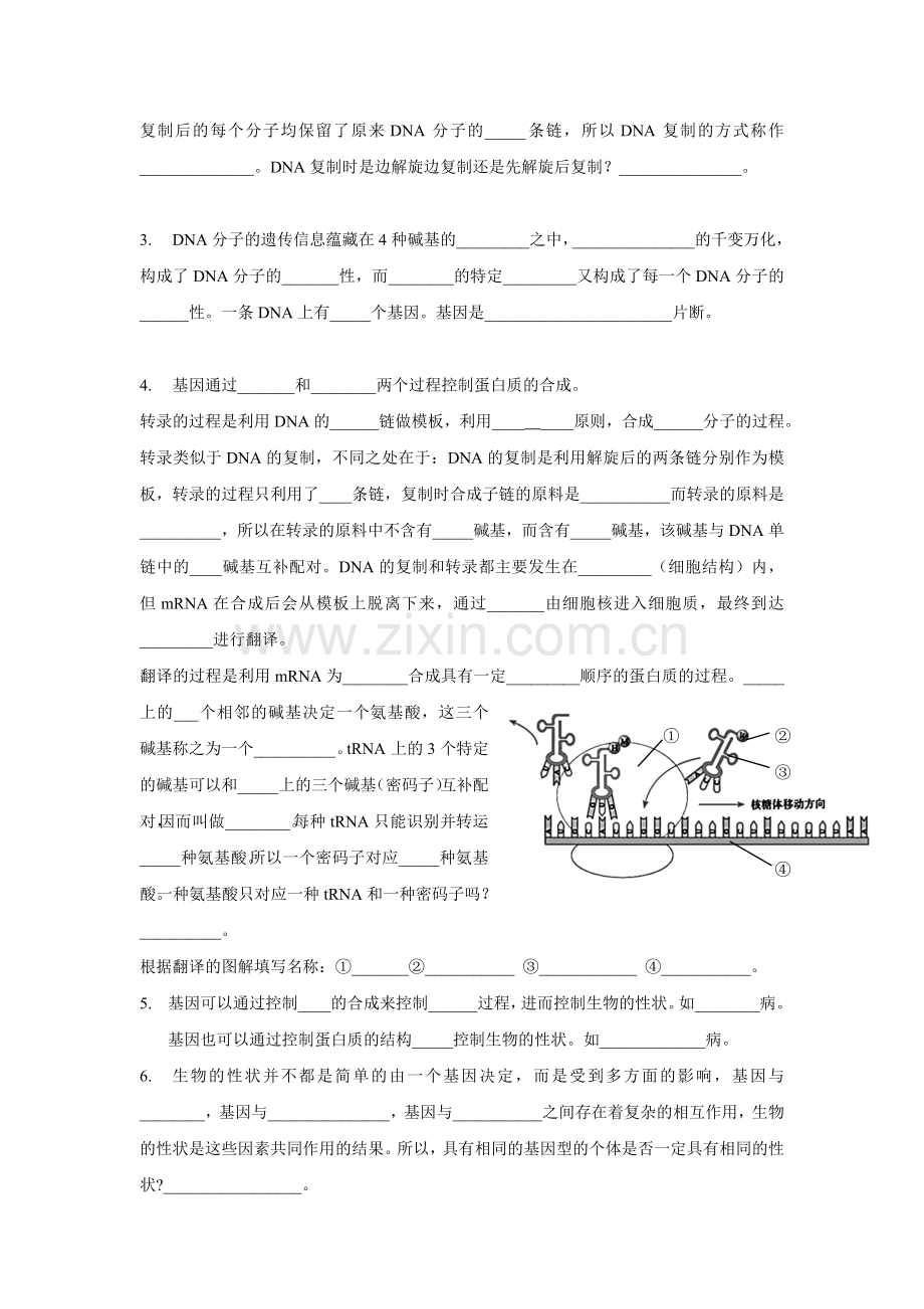 DNA的结构与复制知识点填空及答案.doc_第2页