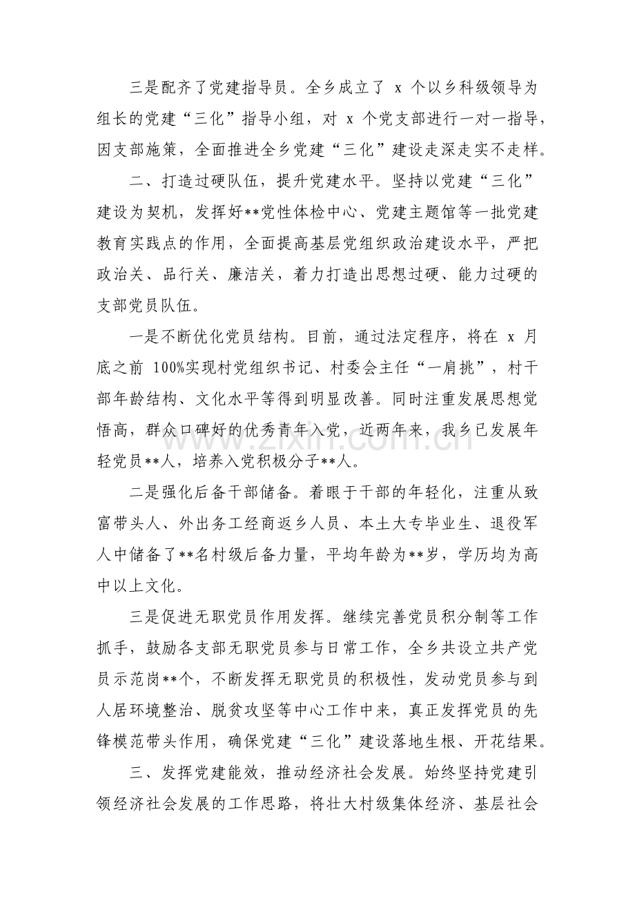 党建三化工作汇报十三篇.pdf_第2页