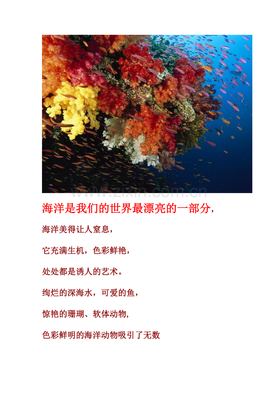 十大最美丽海洋生物图文照片.doc_第1页