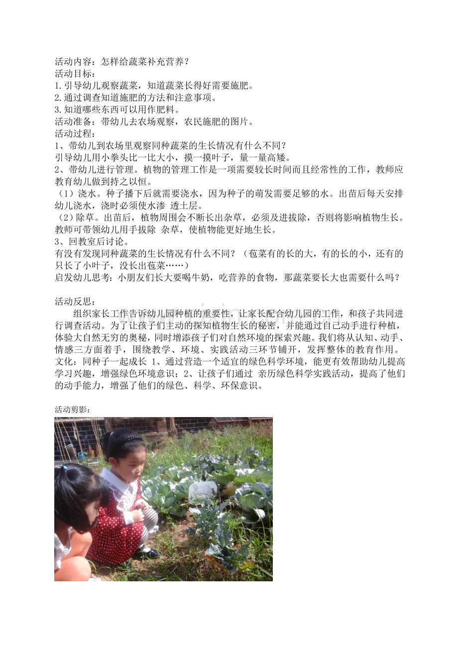 怎样给蔬菜补充营养.doc_第1页