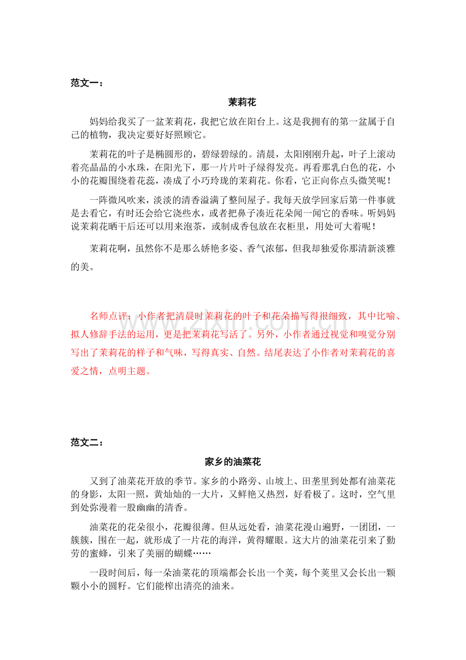 第一单元我的植物朋友.docx_第1页