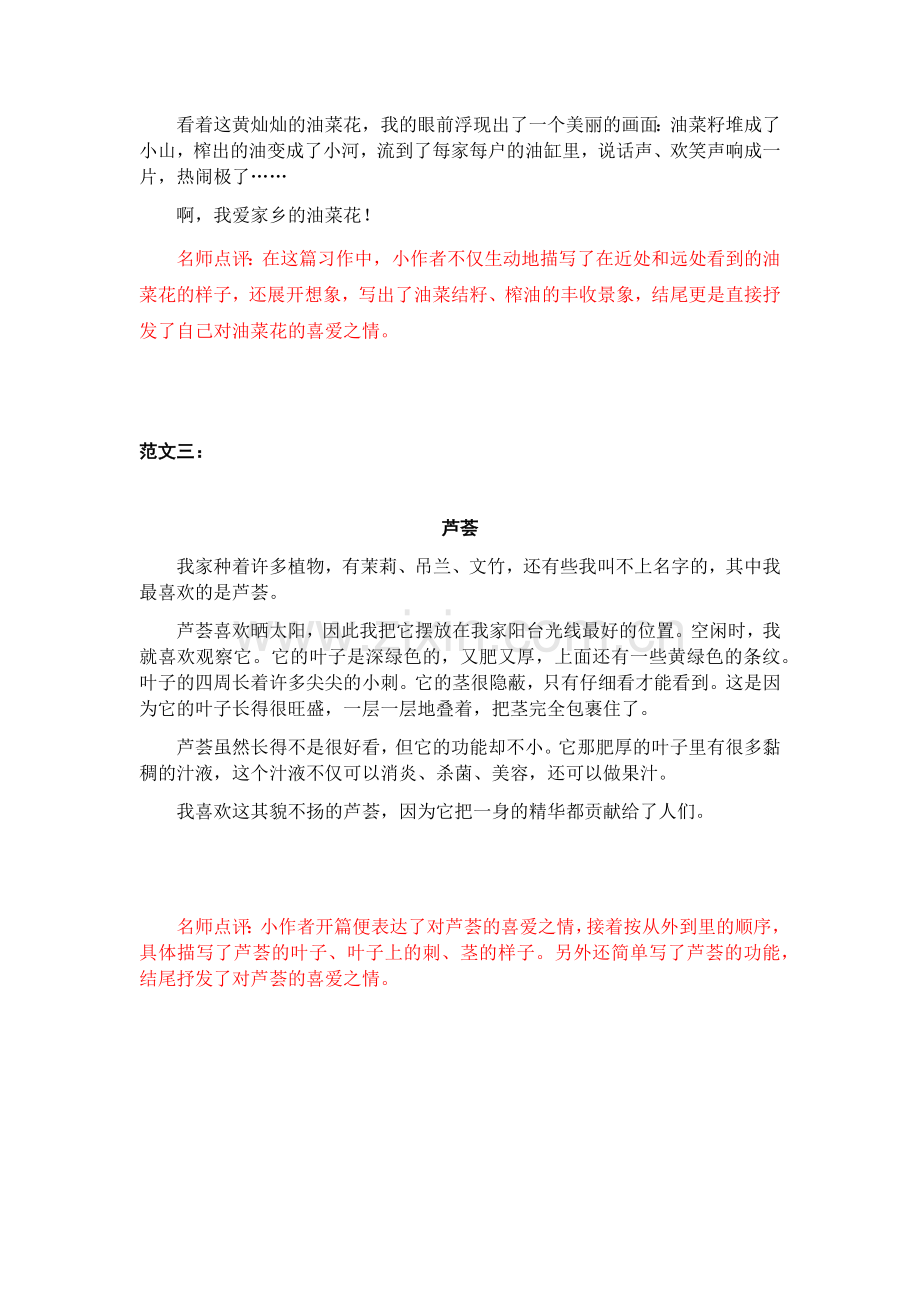 第一单元我的植物朋友.docx_第2页