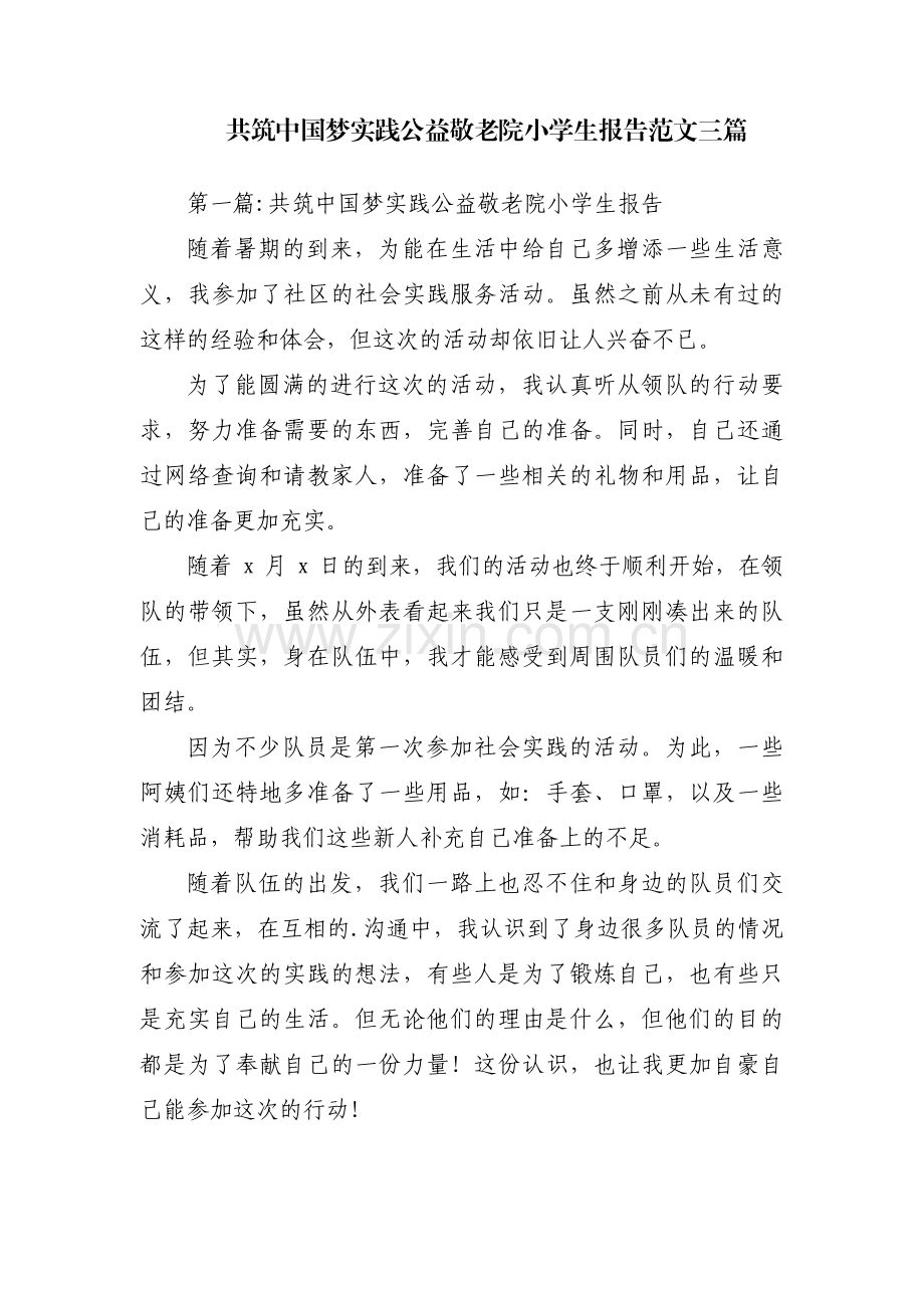 共筑中国梦实践公益敬老院小学生报告范文三篇.pdf_第1页
