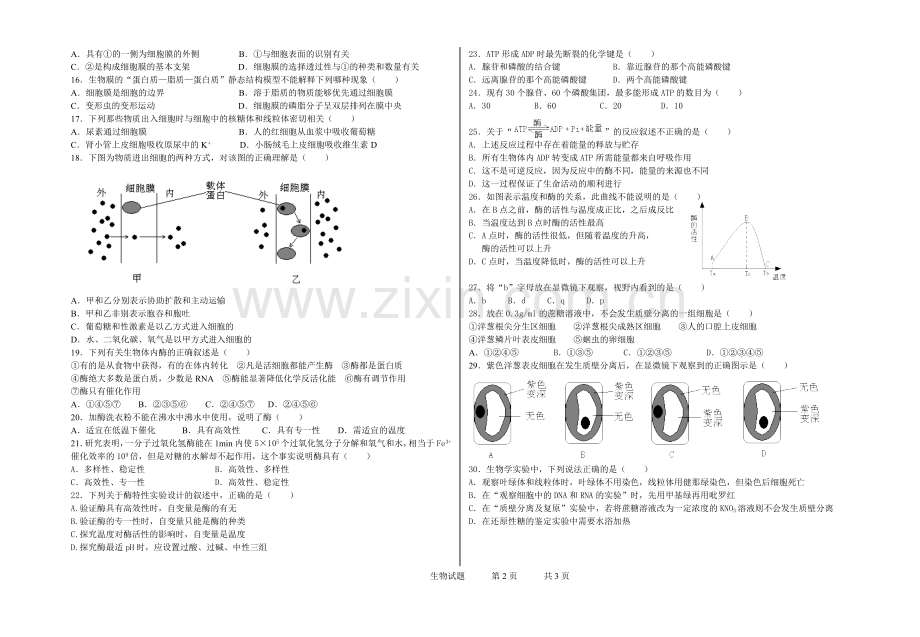 高一生物月考试题.doc_第2页