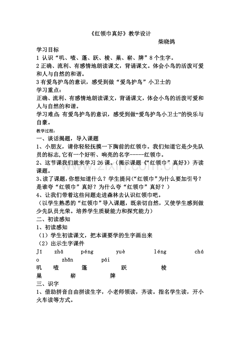 红领巾真好教案.doc_第1页
