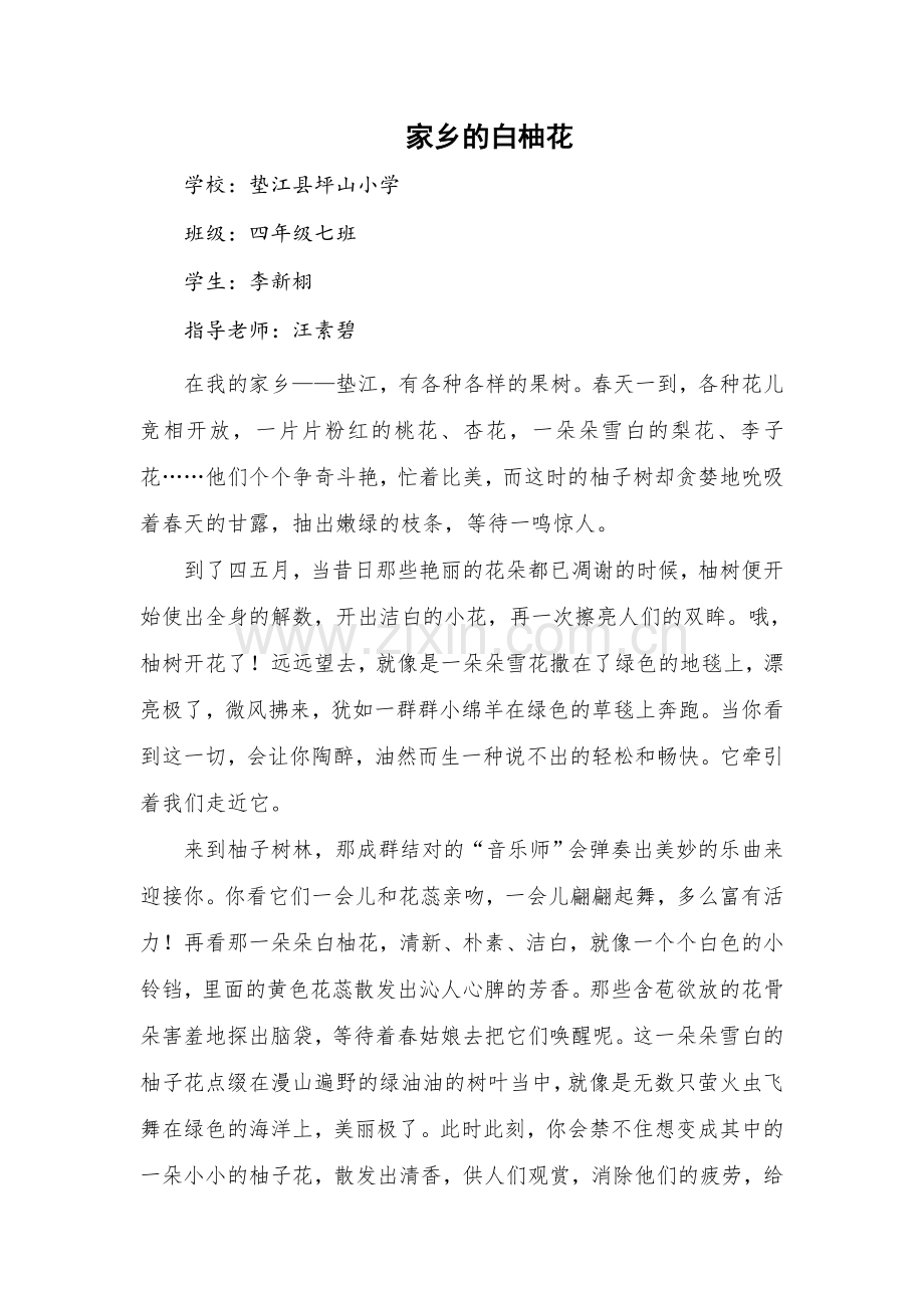 家乡的白柚花.doc_第1页