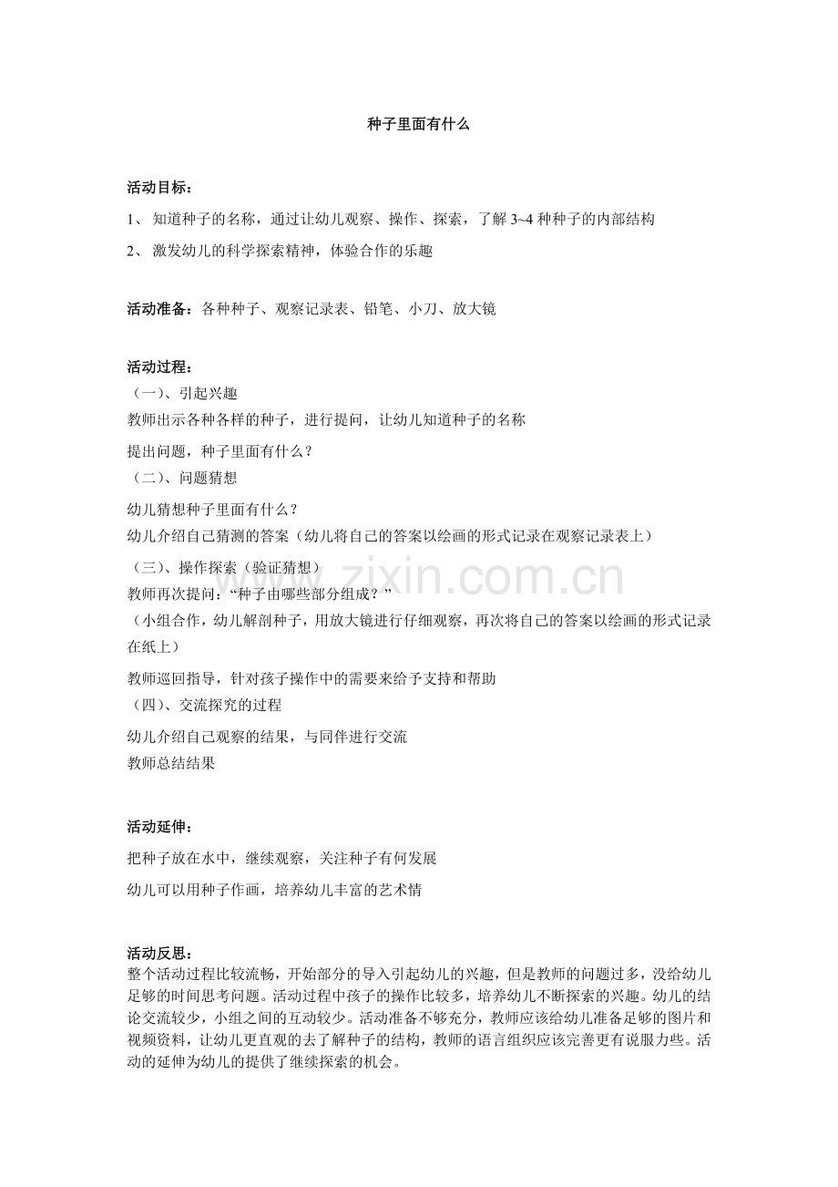 种子里面有什么.doc_第1页