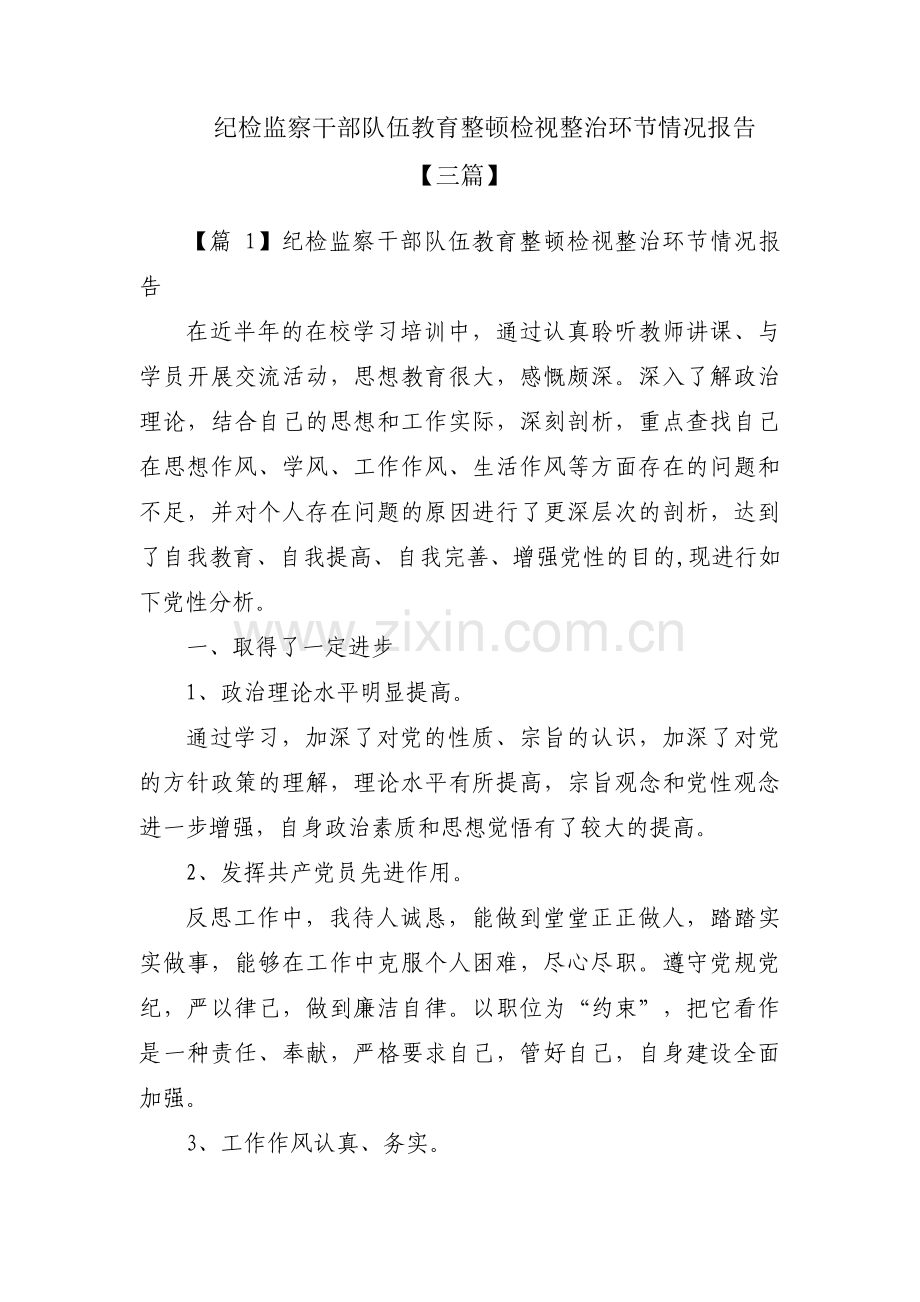 纪检监察干部队伍教育整顿检视整治环节情况报告【三篇】.pdf_第1页