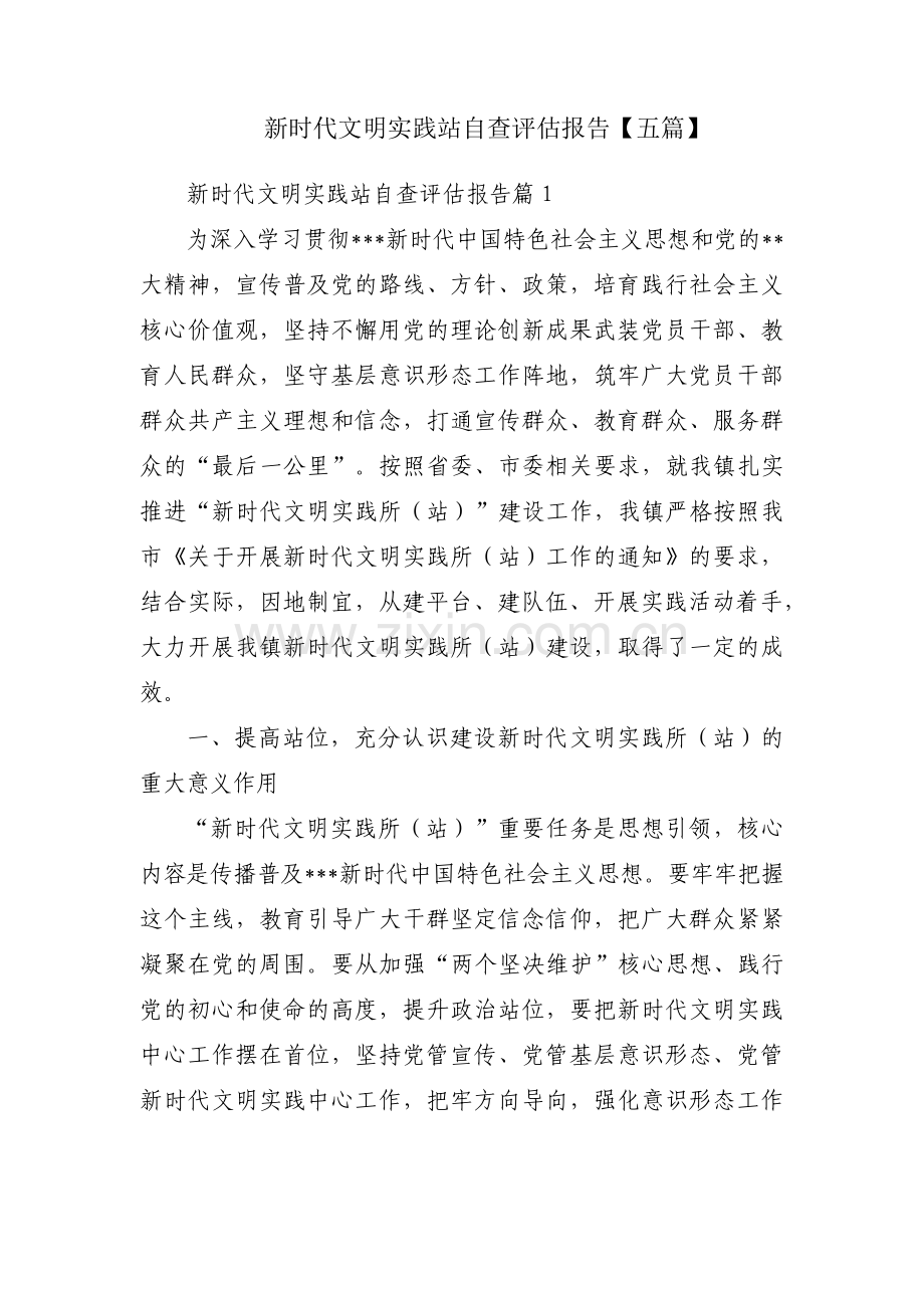 新时代文明实践站自查评估报告【五篇】.pdf_第1页