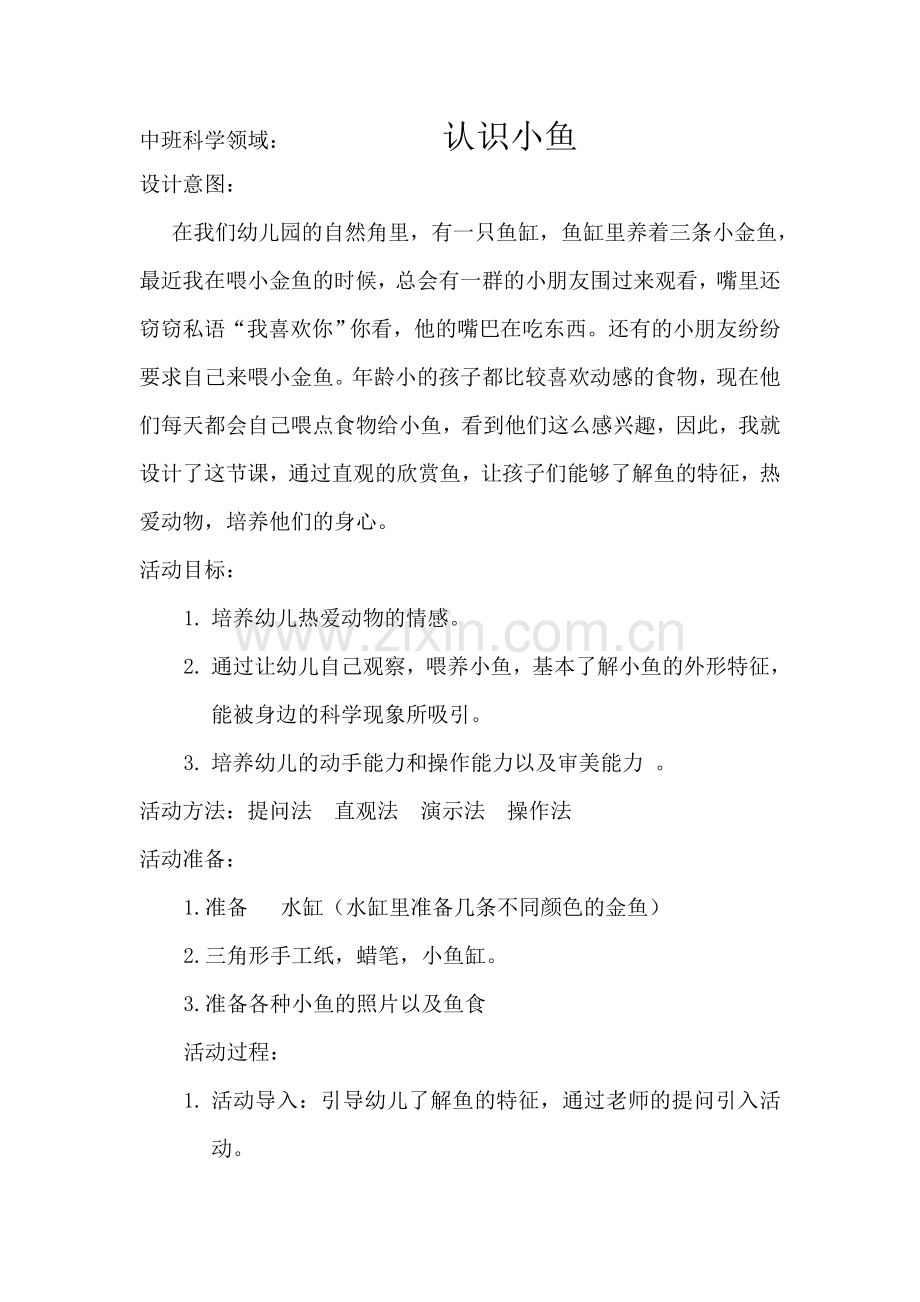 中班科学领域.doc_第1页