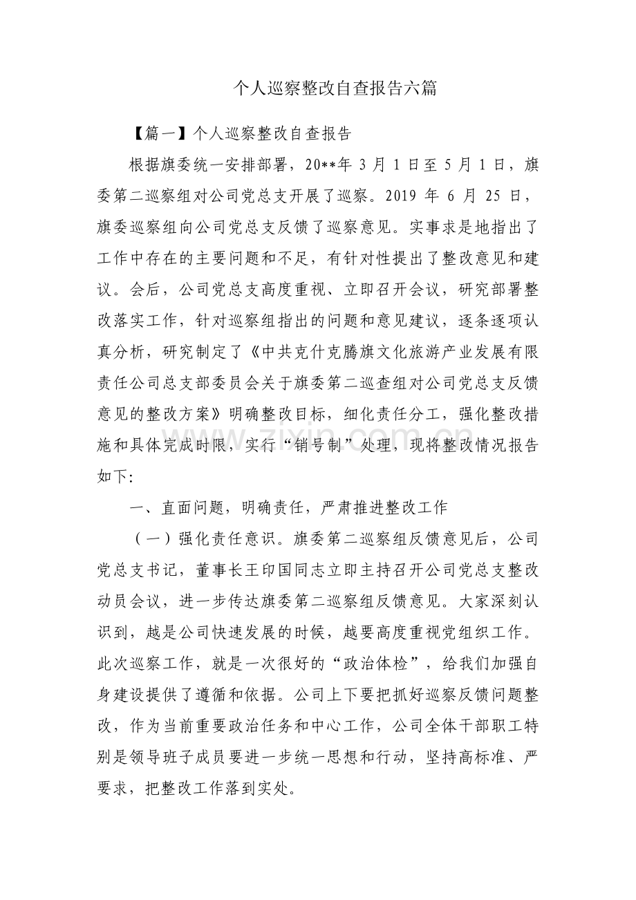 个人巡察整改自查报告六篇.pdf_第1页