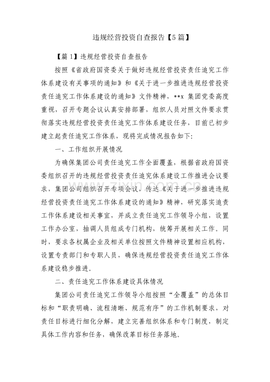 违规经营投资自查报告【5篇】.pdf_第1页