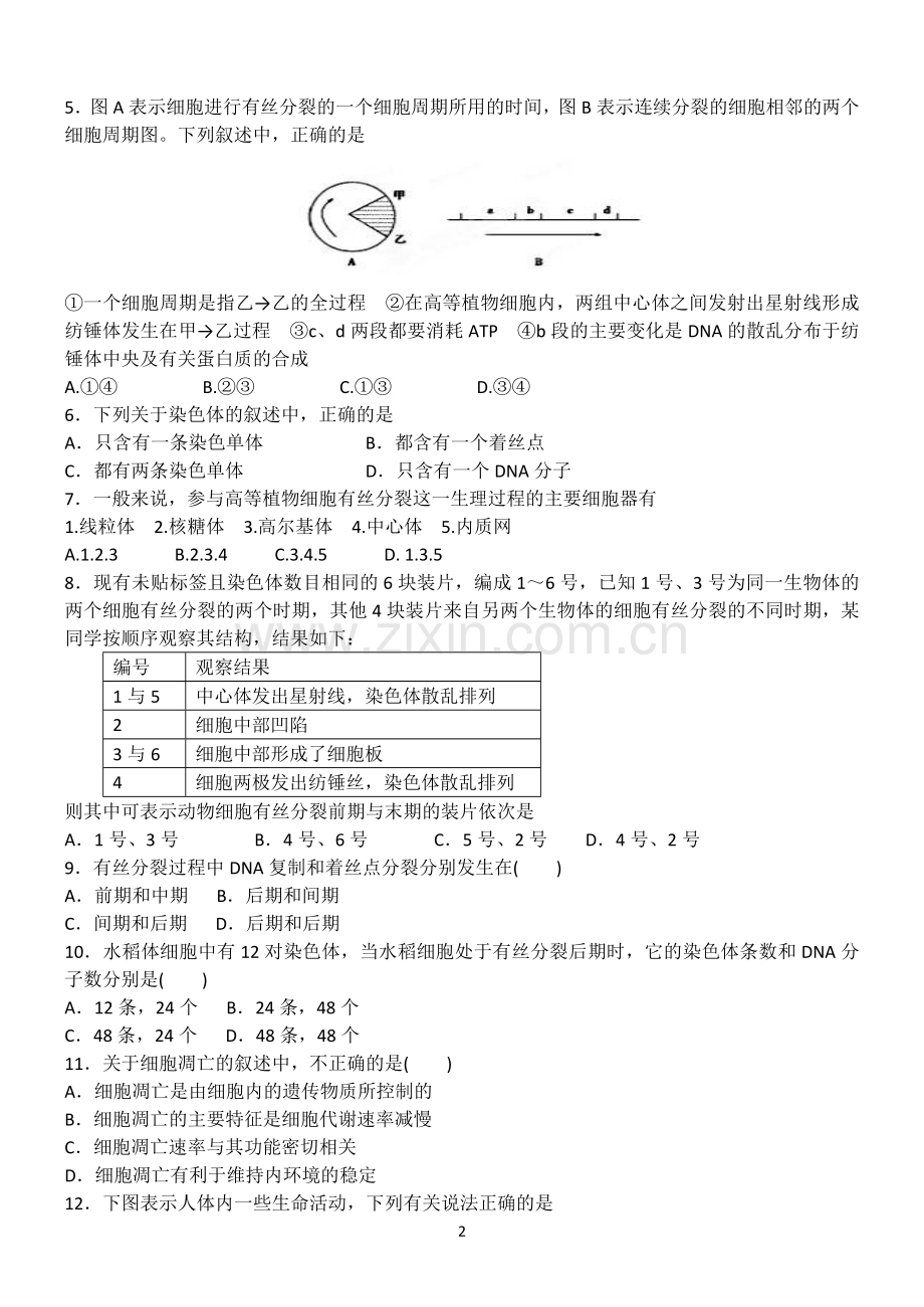 《细胞生命历程》单元检测.docx_第2页