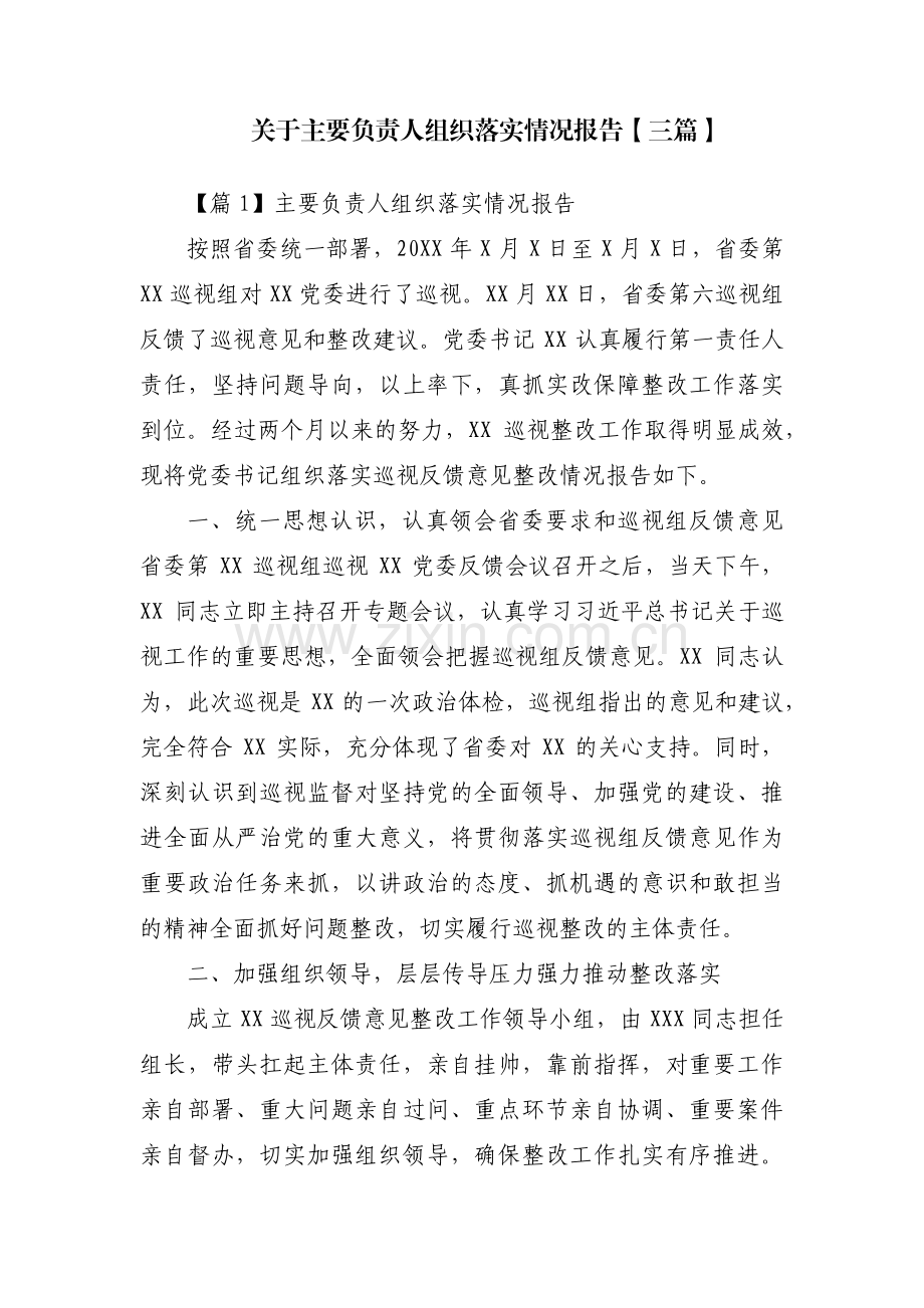 关于主要负责人组织落实情况报告【三篇】.pdf_第1页