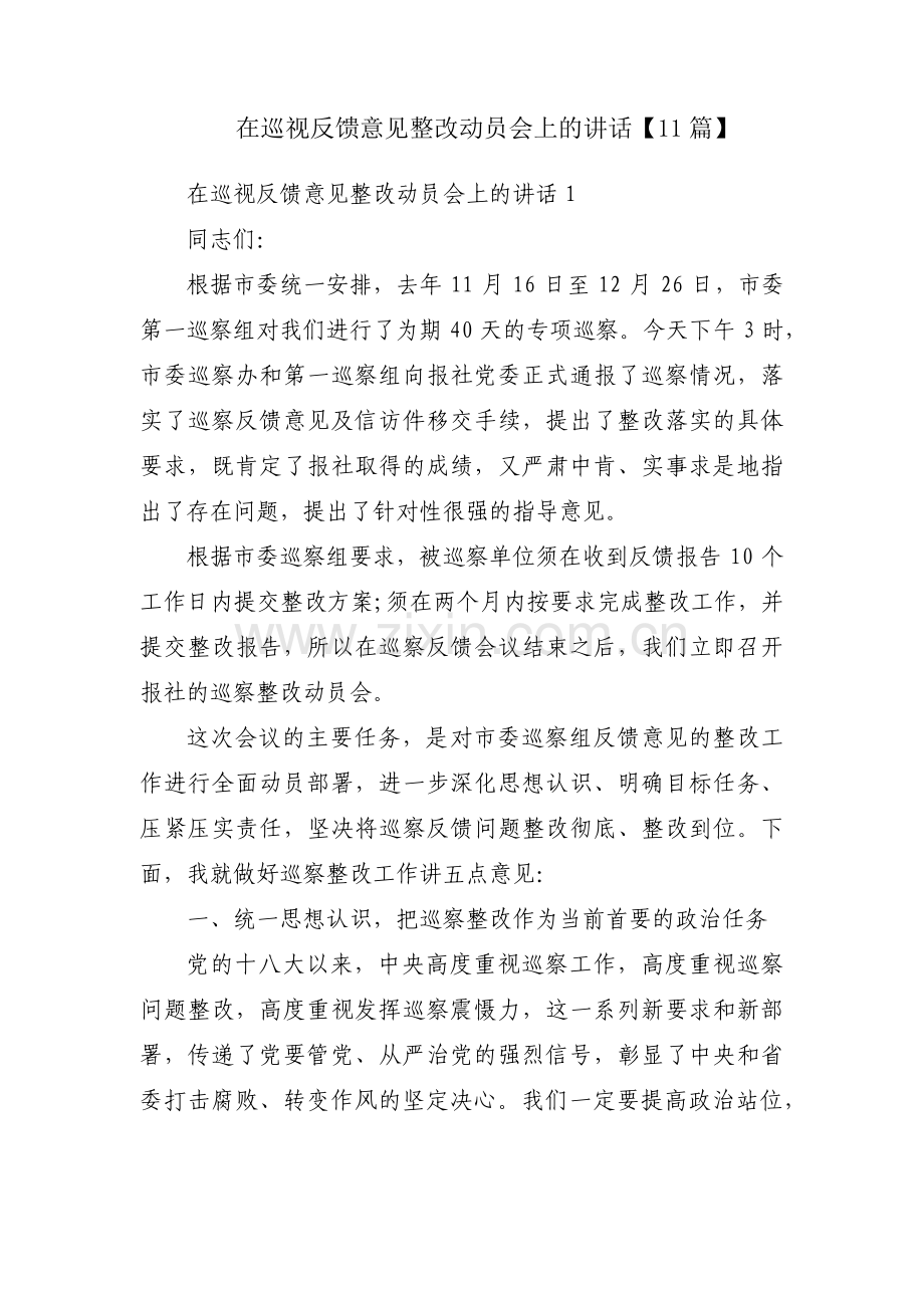 在巡视反馈意见整改动员会上的讲话【11篇】.pdf_第1页