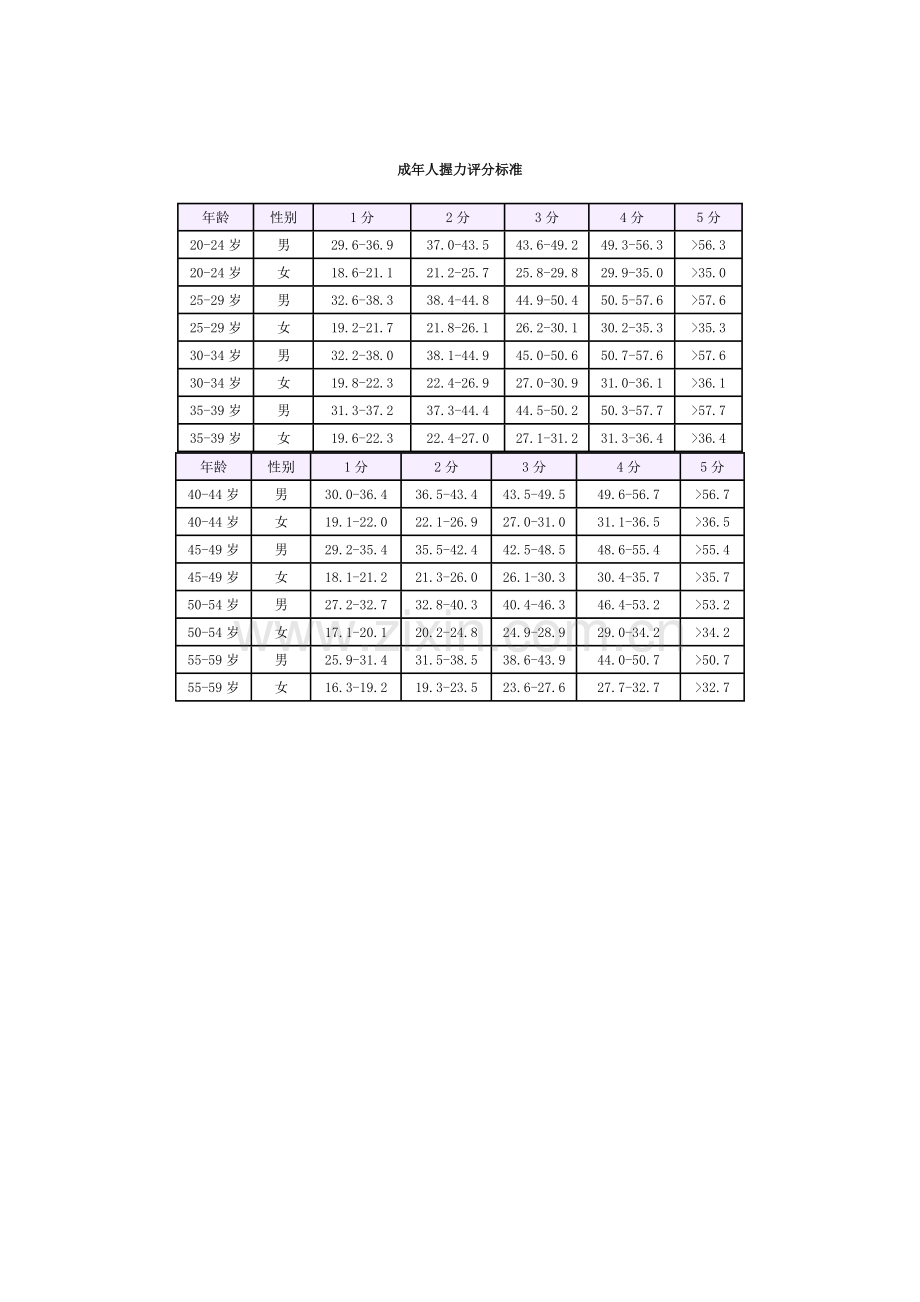 成年人握力评分标准.doc_第1页