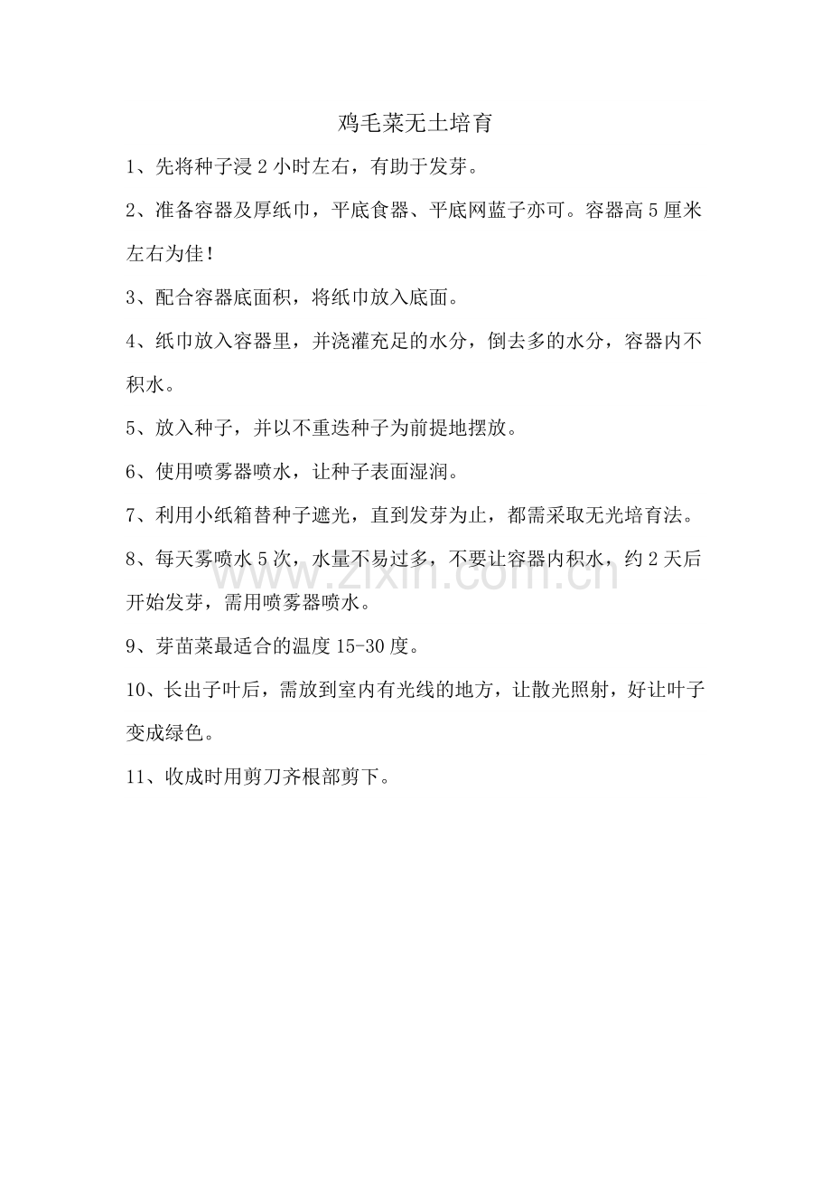 鸡毛菜无土培育.doc_第1页