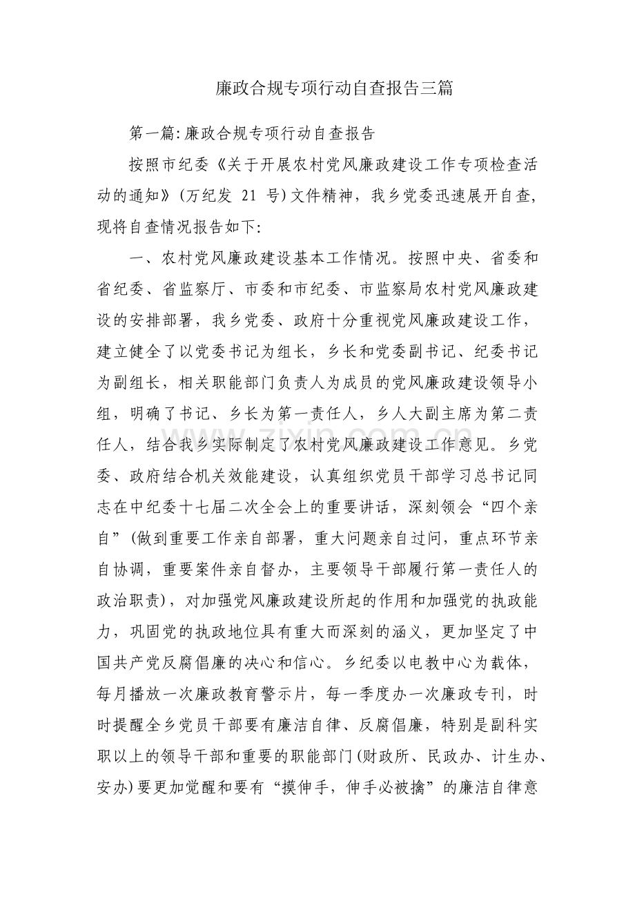 廉政合规专项行动自查报告三篇.pdf_第1页