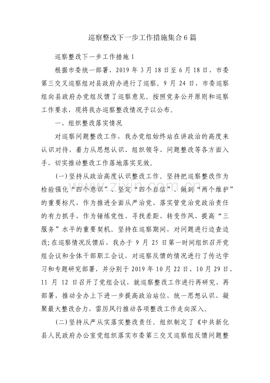 巡察整改下一步工作措施集合6篇.pdf_第1页