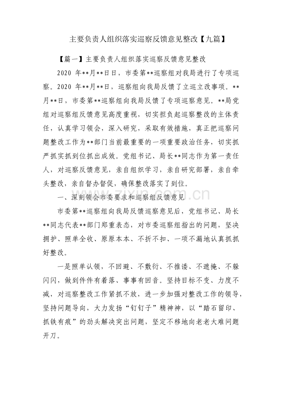 主要负责人组织落实巡察反馈意见整改【九篇】.pdf_第1页