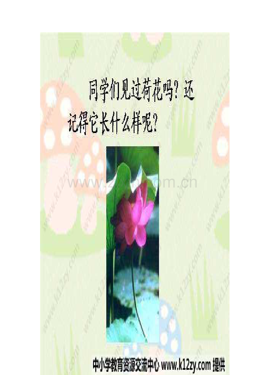 《荷花》教学课件.doc_第1页