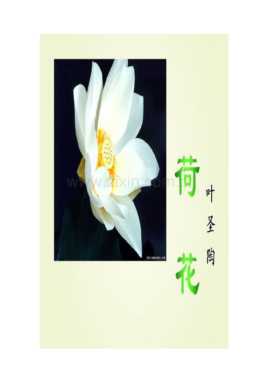 《荷花》教学课件.doc_第2页
