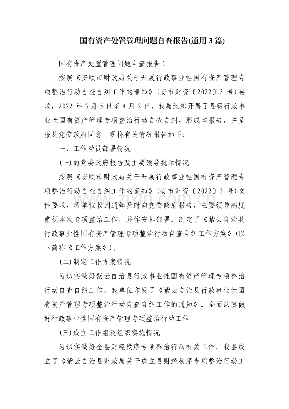 国有资产处置管理问题自查报告(通用3篇).pdf_第1页