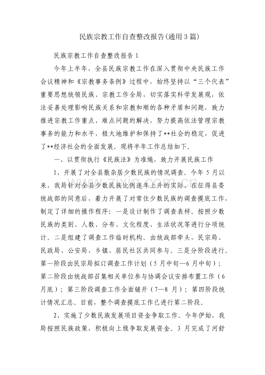 民族宗教工作自查整改报告(通用3篇).pdf_第1页