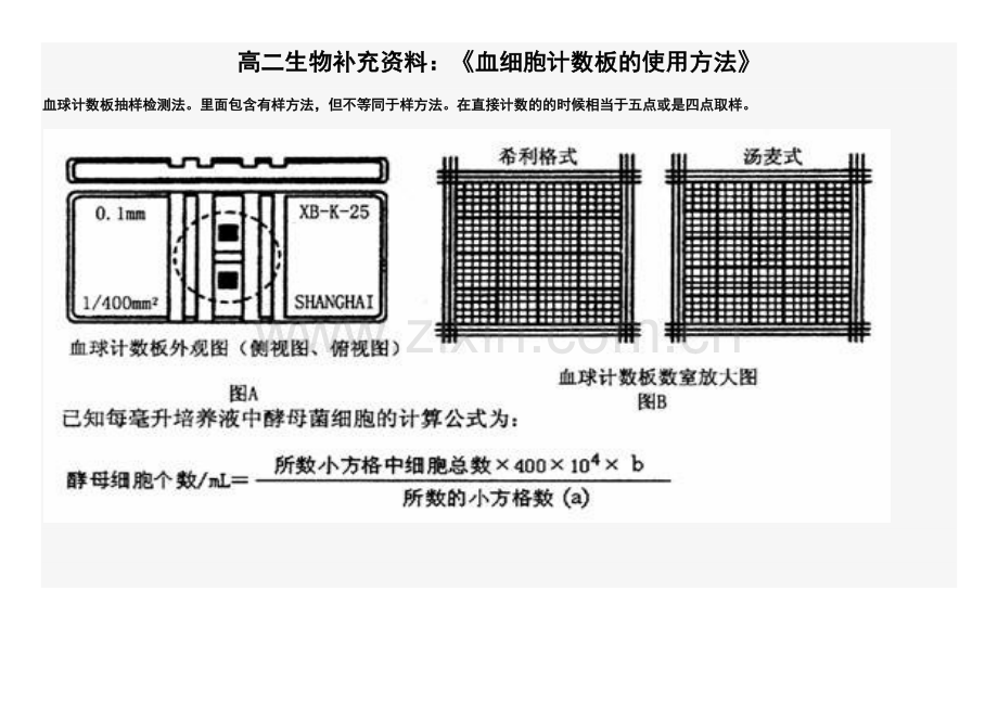 高二生物补充资料：血细胞计数板.docx_第1页