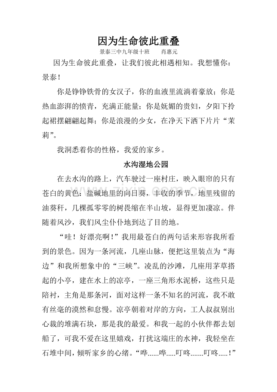 因为生命彼此重叠.doc_第1页
