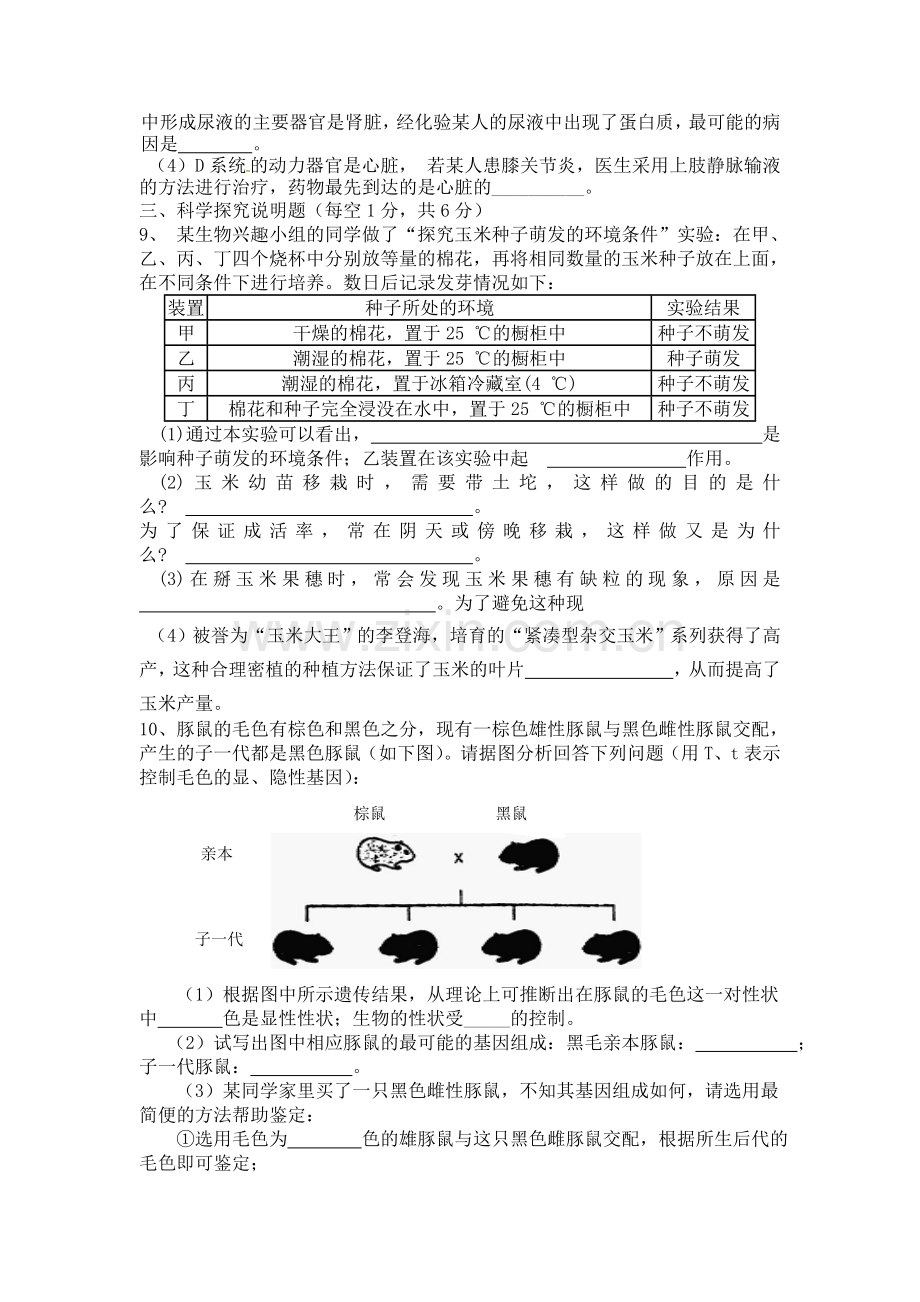 生物综合训练题.doc_第2页