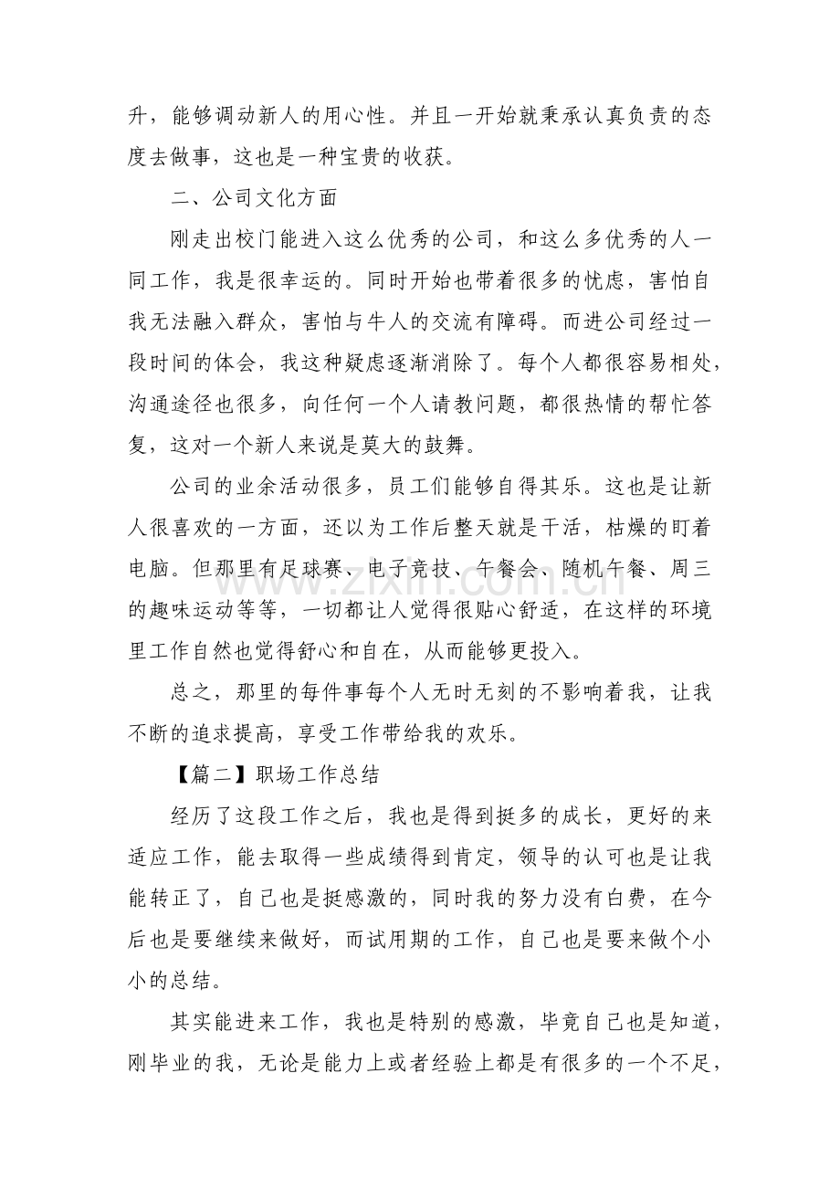 职场工作总结(通用11篇).pdf_第2页