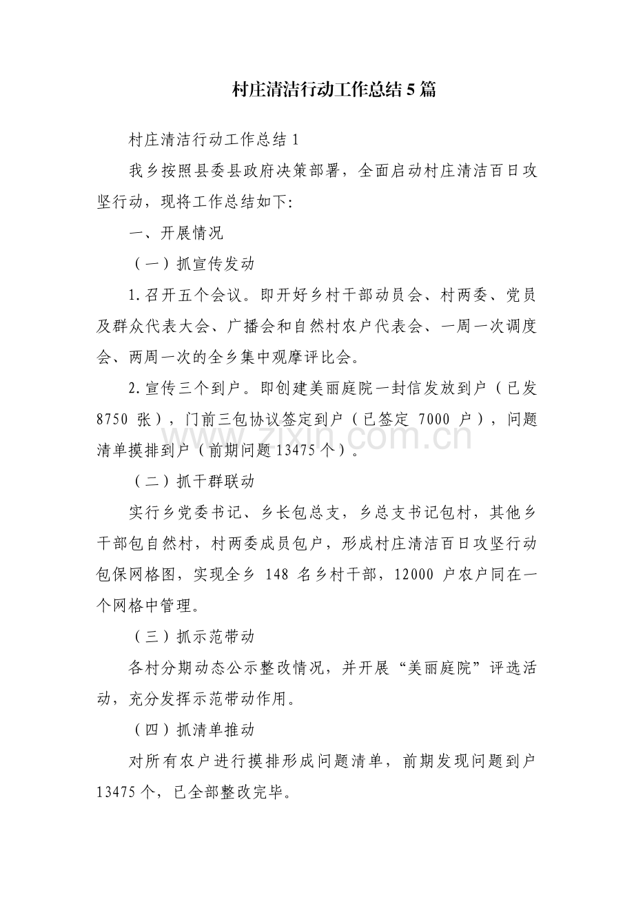 村庄清洁行动工作总结5篇.pdf_第1页