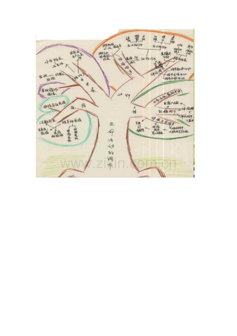 必修二第二单元知识树.doc_第1页