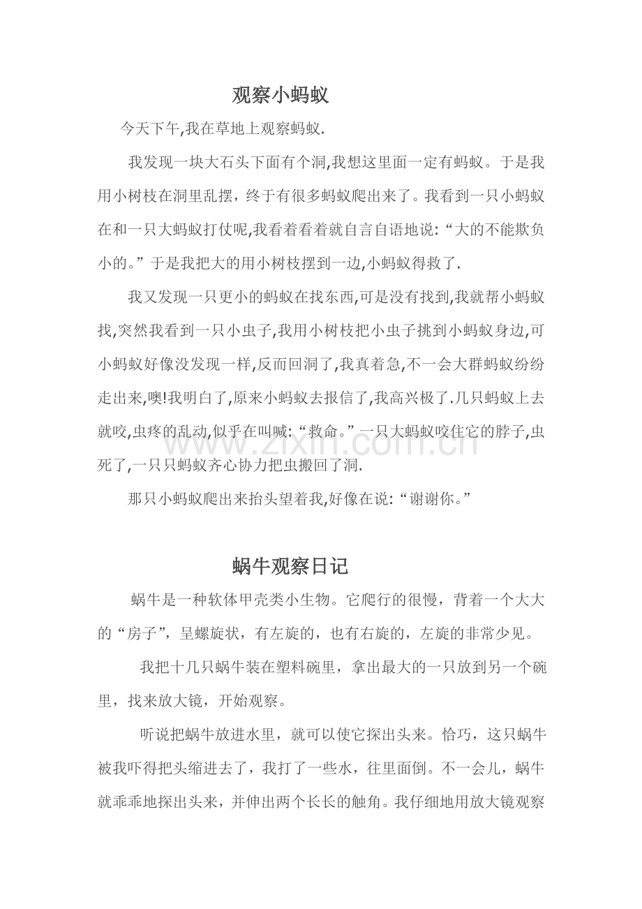 观察日记（动物）.doc_第1页