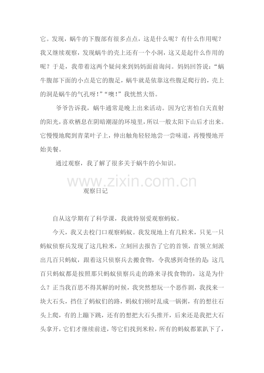 观察日记（动物）.doc_第2页