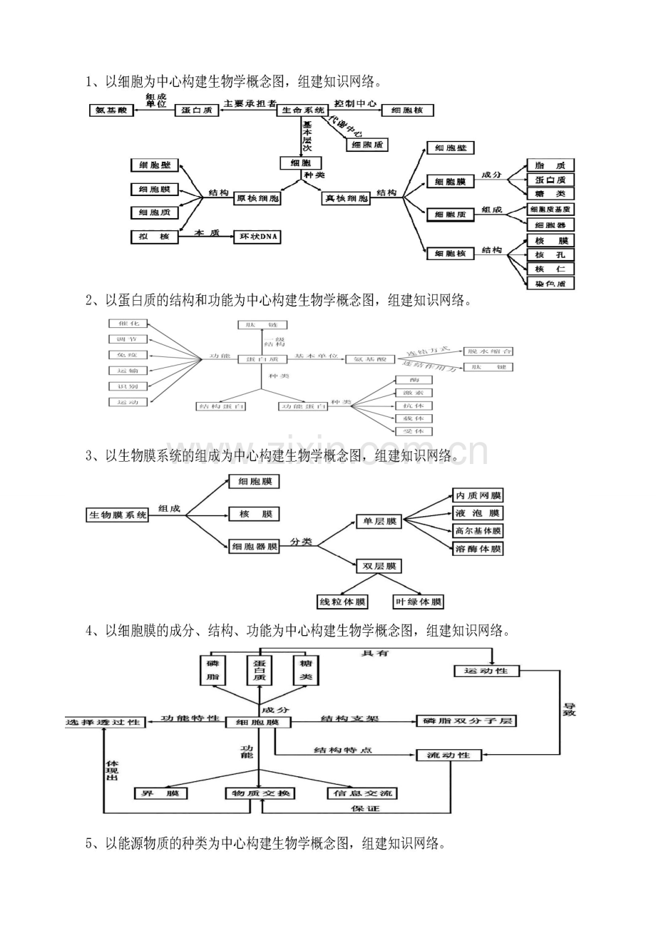 概念知识网络.doc_第1页