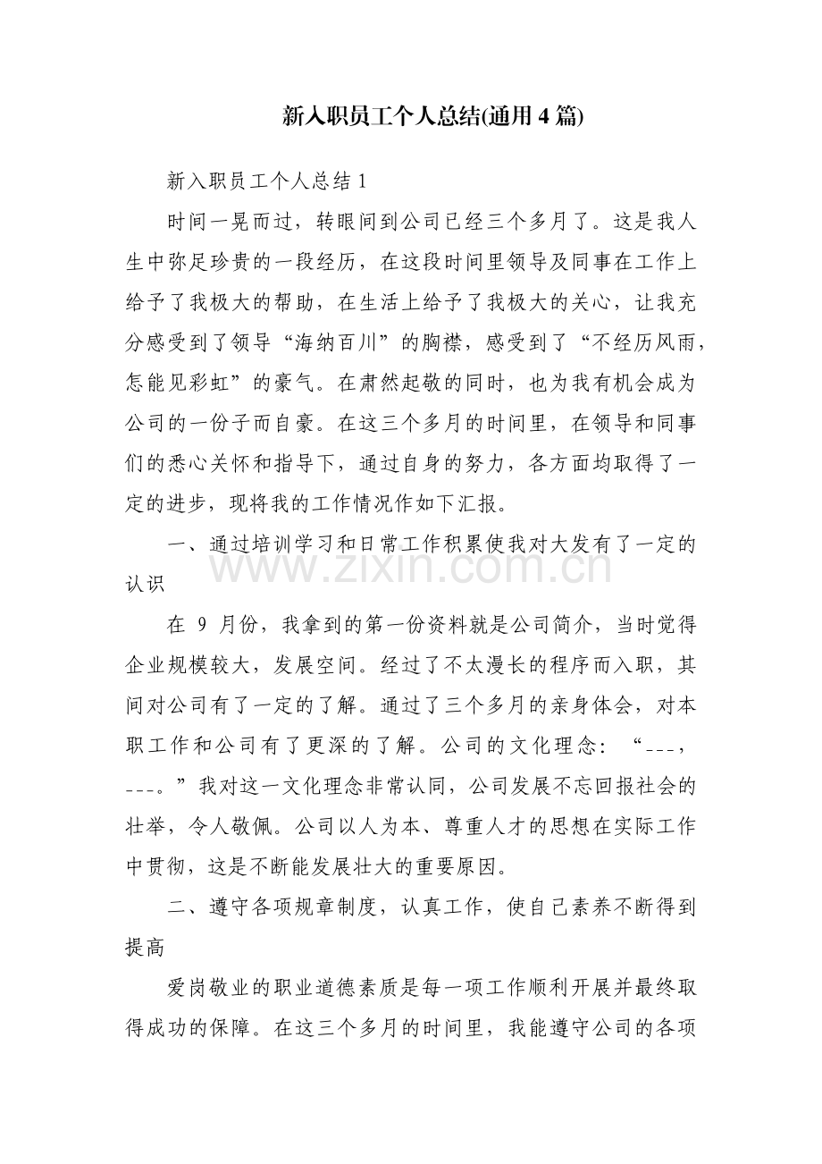新入职员工个人总结(通用4篇).pdf_第1页