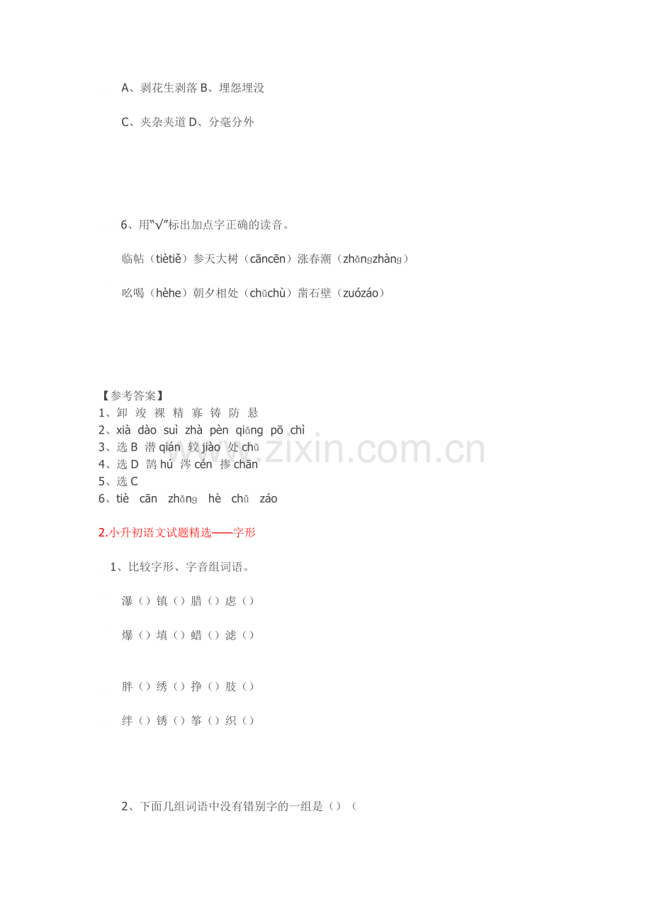 小升初语文试题.doc_第2页