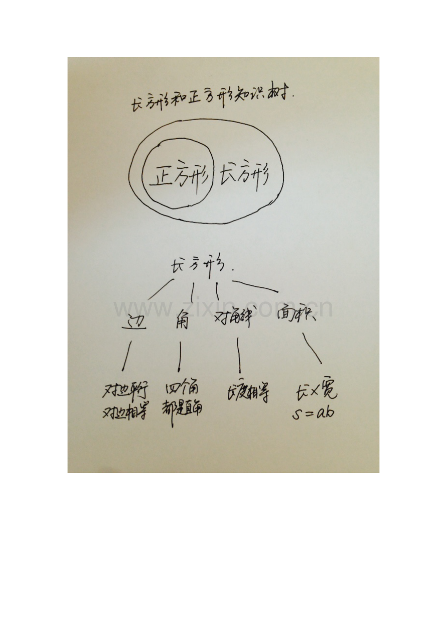 长方形和正方形知识树.doc_第1页