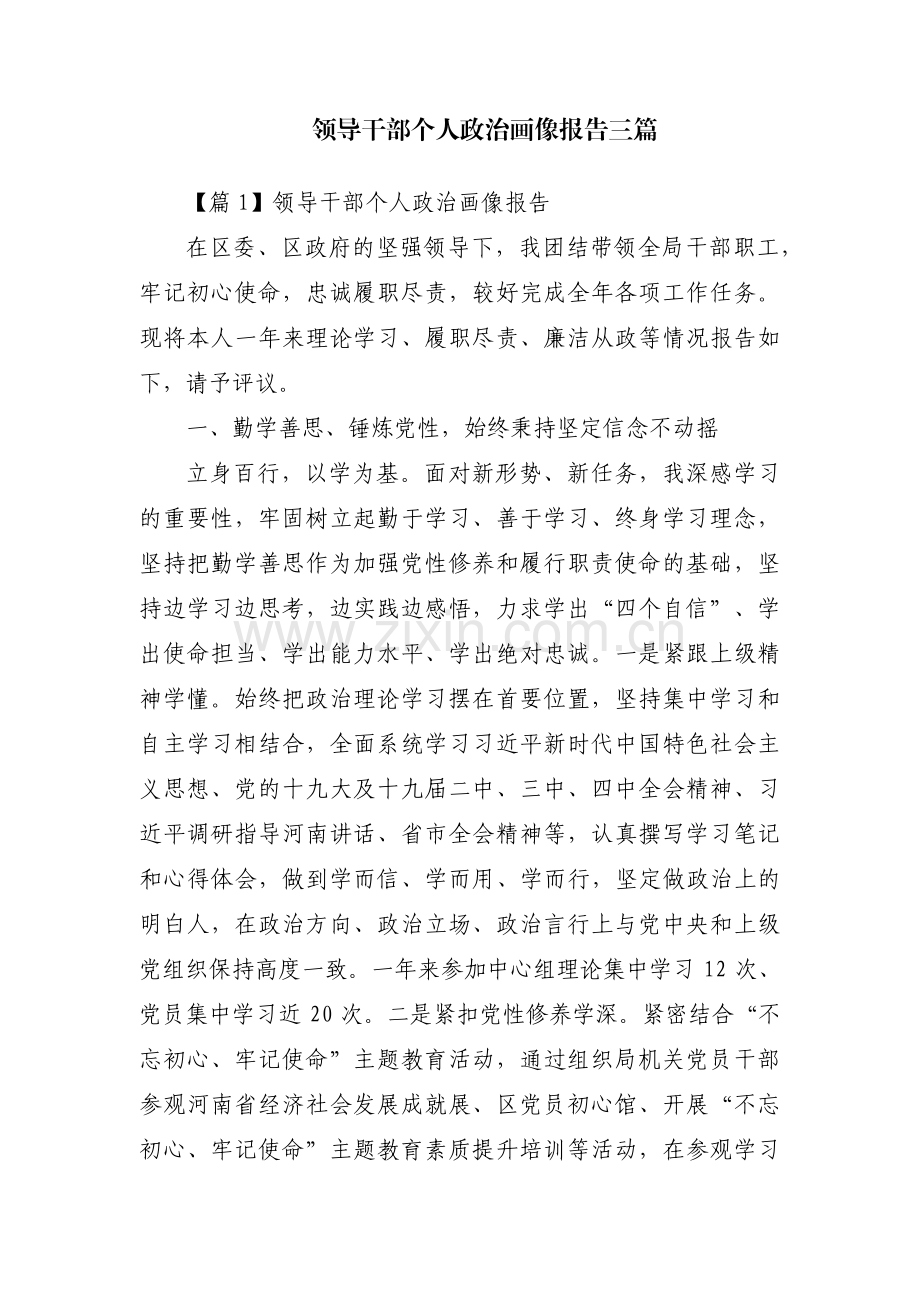领导干部个人政治画像报告三篇.pdf_第1页