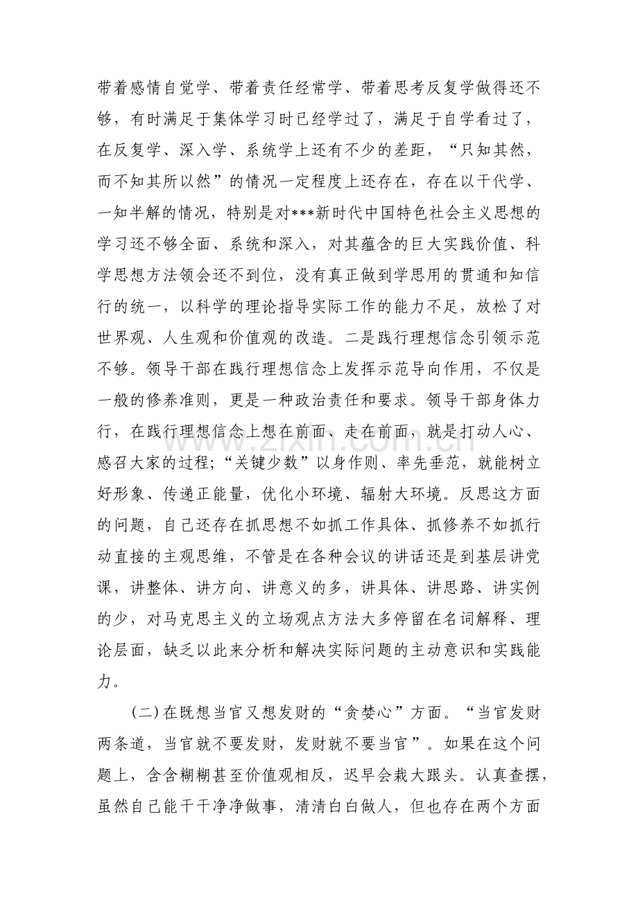 十型干部对照检查材料范文(3篇).pdf_第2页