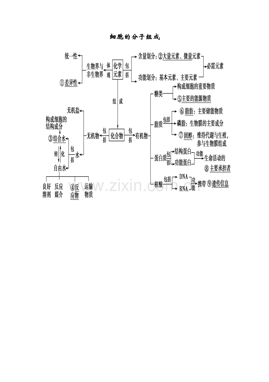 细胞的分子组成.doc_第1页