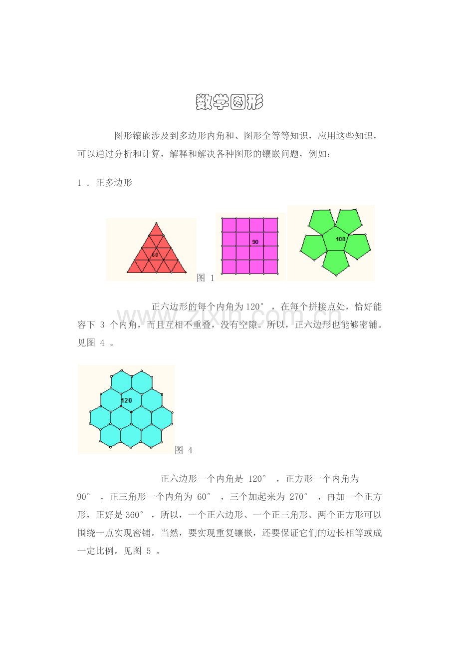 奇妙的数学图形.docx_第1页