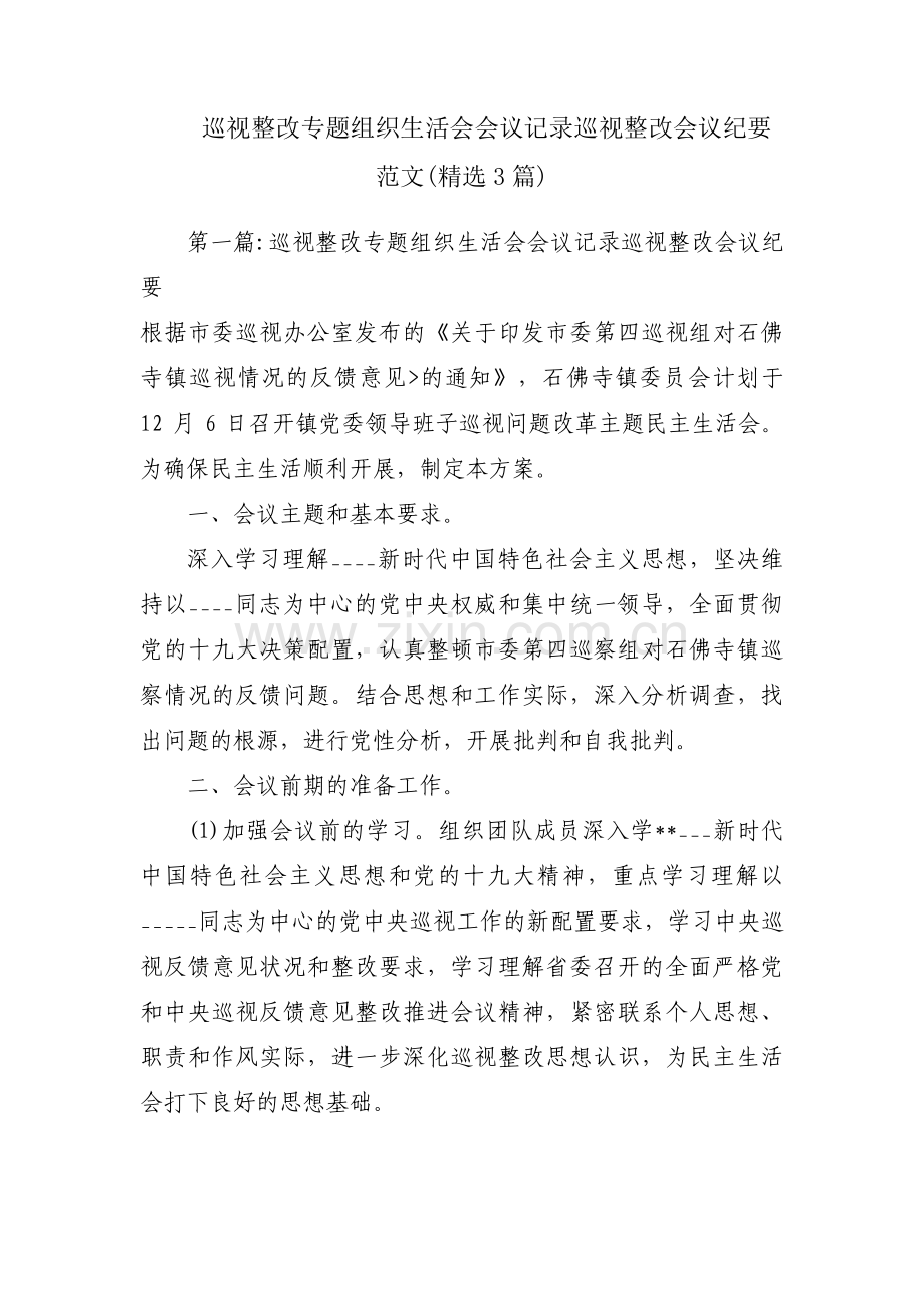 巡视整改专题组织生活会会议记录巡视整改会议纪要范文(3篇).pdf_第1页