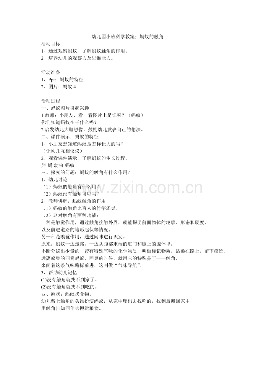 小班科学：蚂蚁的触角.doc_第1页