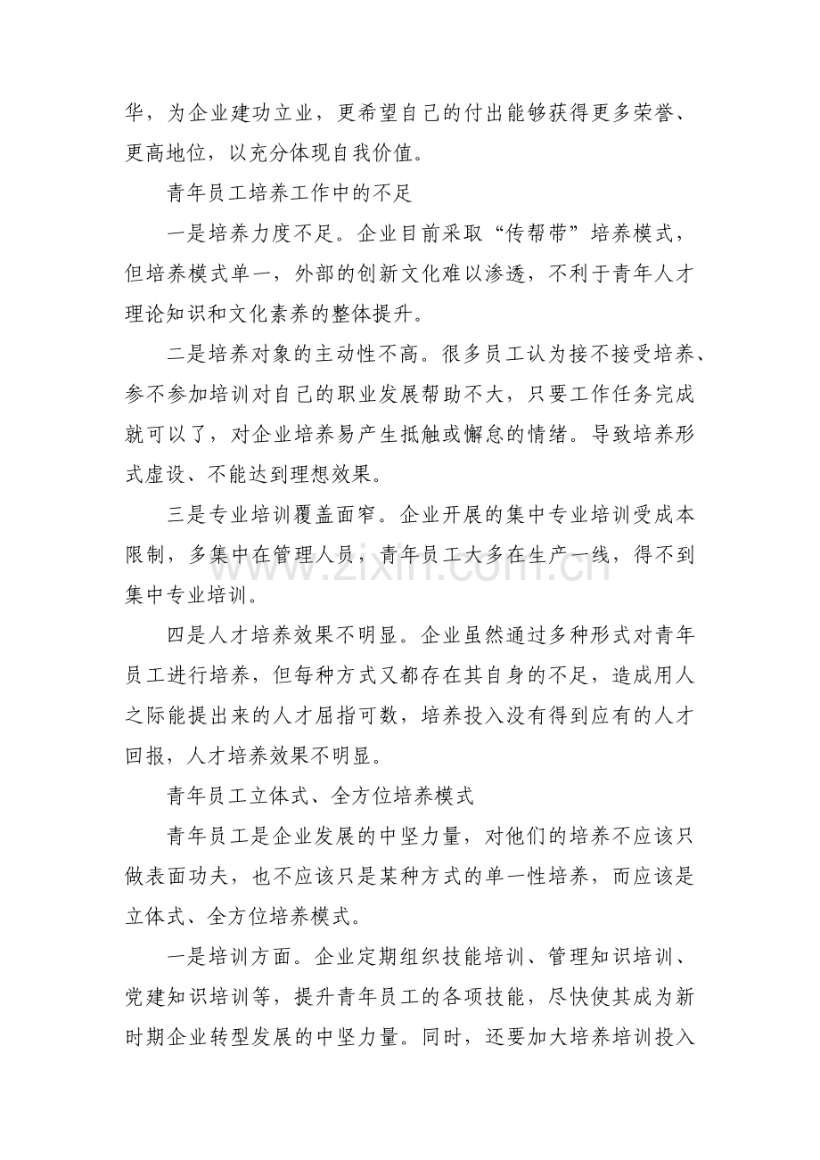 青年人才培养工作总结总结范文(6篇).pdf_第2页